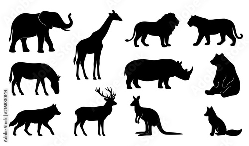 Photography Black Wild Animal Silhouettes Collection Vector Illustration Set