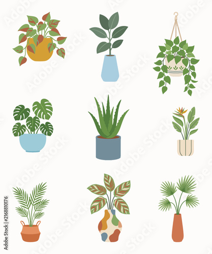 Modern Indoor Plant Vector Collection with Hanging Planters and Decorative Vases