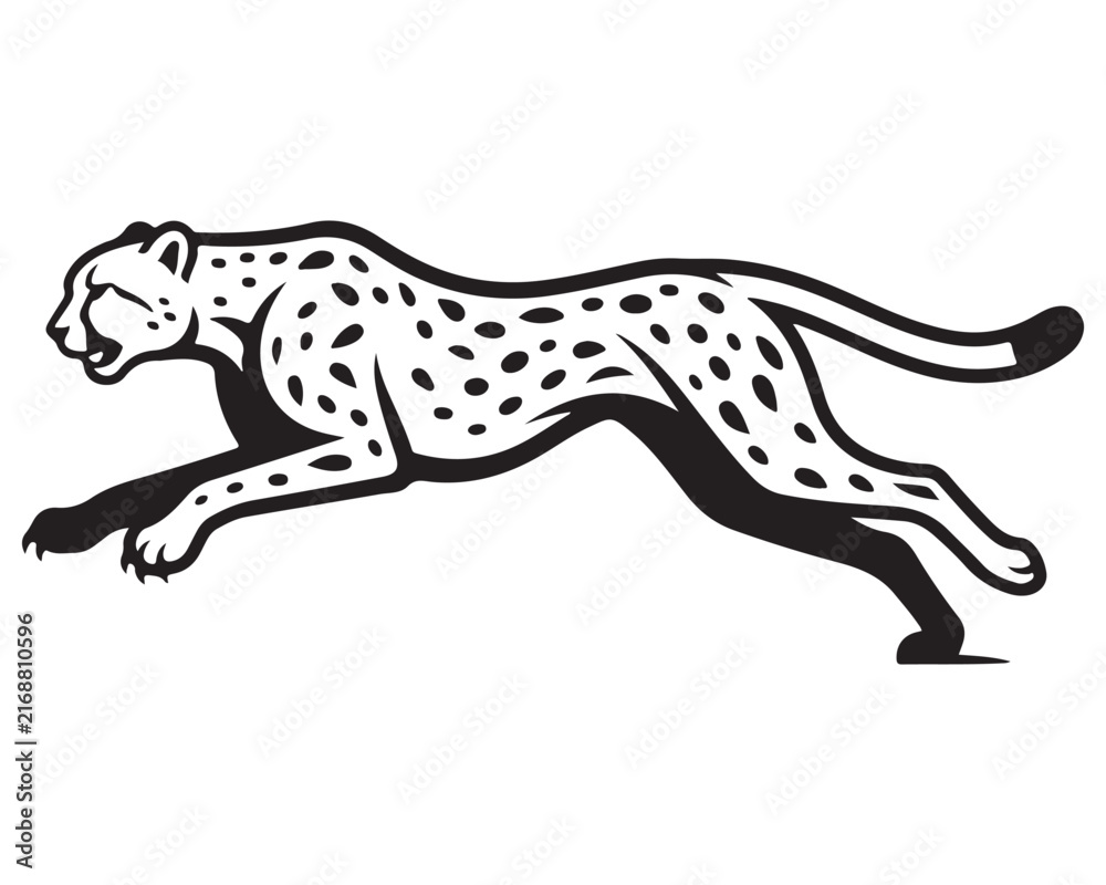 Fototapeta premium Cheetah vector illustration depicts a wild cat running fast.