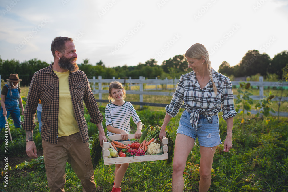 Obraz premium Group of neighbors gardening and collecting organic produce outdoors.