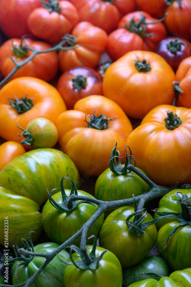 Fototapeta premium Mixed green, orange and red heirloom tomatoes with vine detail. Fresh seasonal vegetables, vibrant organic background