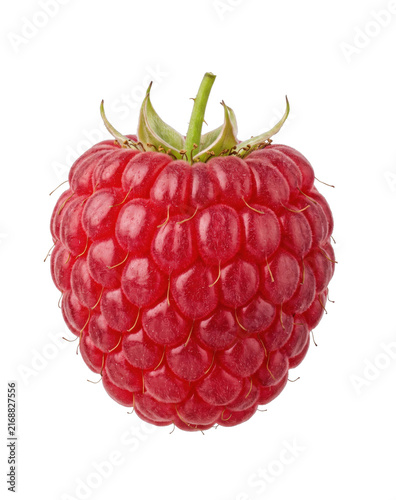 Konstfotografi Single ripe red raspberry fruit isolated on a clean white background