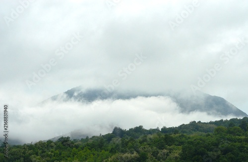 morning fog on the hills