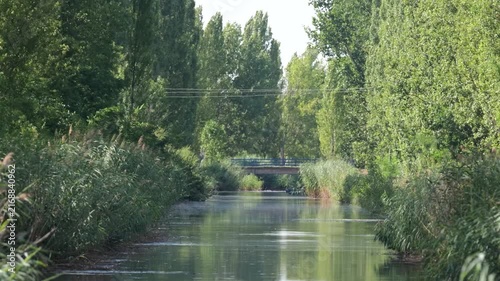 Quiet freshwater channel surrounded by dense reeds and riparian vegetation in a natural wetland