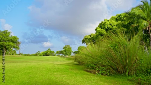 Landscape view of a golf course with green grass in the Dominican Republic. Lawn with green grass. Beautiful landscape in a natural park. Close-cut grass lawn in a tropical golf course and blue sky.