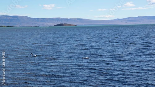 Panoramic view of Lago Argentino featuring a pair of black-necked swans on the water, rolling hills, and the rugged Andes range under a partly cloudy sky in Patagonia