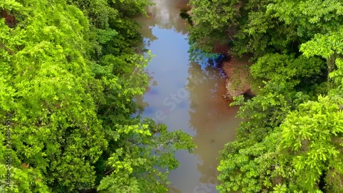 Drone view of a serpentine river winding through a lush green forest landscape. Beautiful landscape with a river in the forest. Natural landscape of the Dominican Republic. Wildlife landscape.