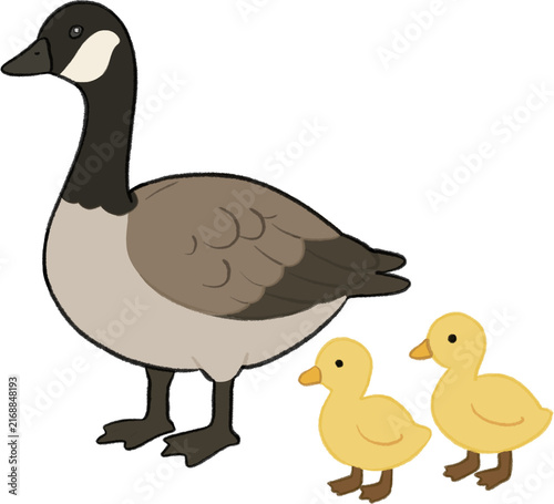 Goose family