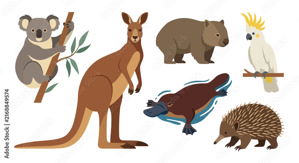 Naklejka premium Cute Australian Animals Collection Isolated