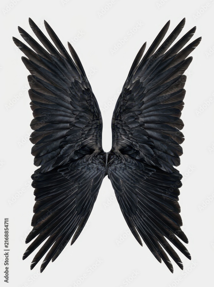 Naklejka premium Large Black Feathered Wings Isolated on White Background - Symmetrical Raven or Crow Wings for Fantasy and Gothic Design