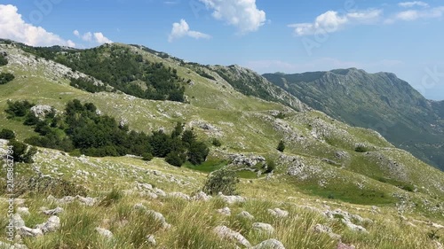 Mountain landscape with lush green meadows on a sunny summer day, majestic peaks under a clear blue sky and peaceful natural scenery