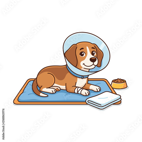 Dog in surgical recovery resting on a mat with a food bowl  
