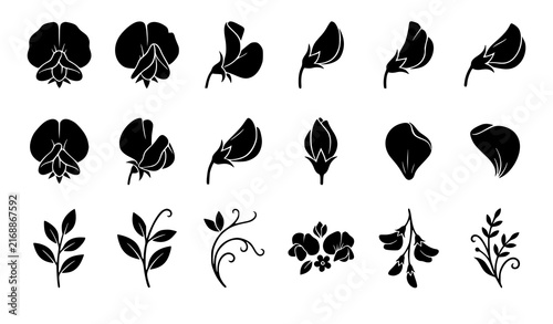 16 Premium Sweet Pea Flower Botanical Black Vector Icons Collection