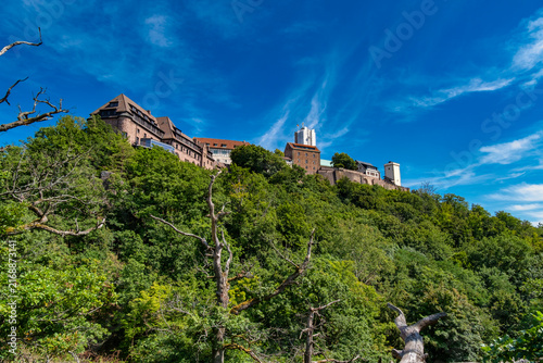 Canvastavla Majestic castle stands amid dense wooded surroundings