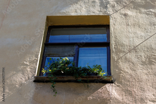 Fotografie Sunlight glances off a textured wall beside a window