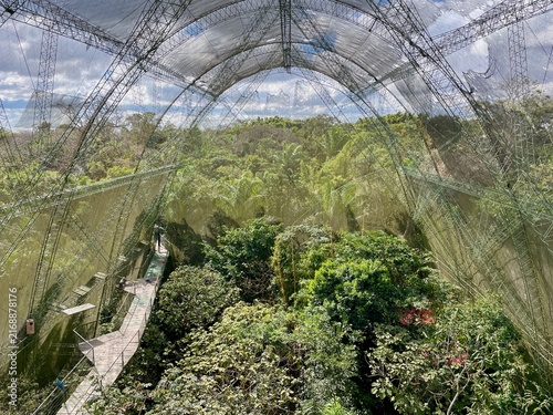 Panoramic view of the massive walk-through bird aviary at Biocentro Güembé in Santa Cruz de la Sierra, Bolivia.