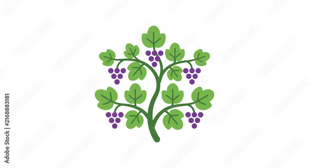 Obraz premium Green vine with purple grapes is a flat vector illustration on a white background
