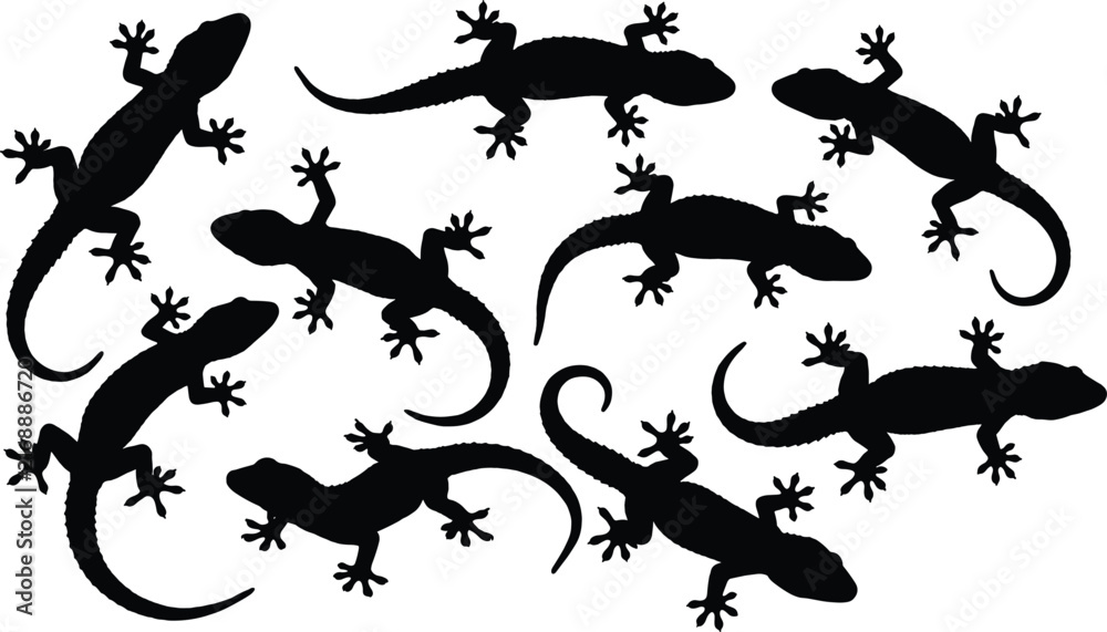 Fototapeta premium Collection of black vector gecko lizard silhouettes crawling in various poses for nature design