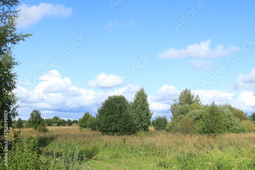 green field and blue sky