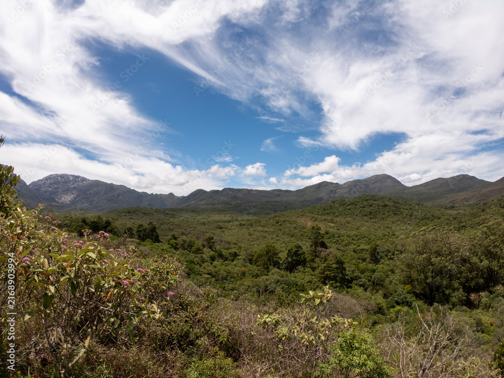 Fototapeta premium Panoramic Mountain Range Above Lush Forest Under Dramatic Sky
