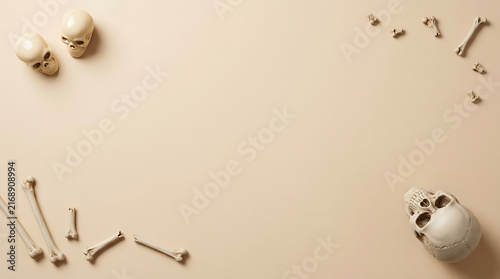 Naklejka Human skeleton bones and skulls collection