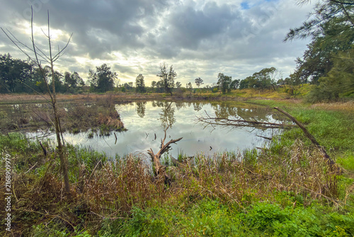 Obraz na plátne Photograph of a small water reservoir surrounded by deteriorating bushland at th