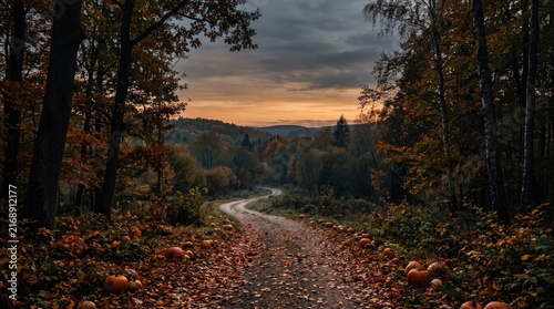 Autumn forest pathway winding through trees with fallen leaves and scattered pumpkins, halloween concept, copy space