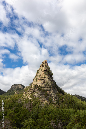 Scenic mountain landscape with a rugged rock formation surrounded by dense evergreen forest and a mature pine tree in the foreground under a dramatic cloudy sky. Natural wilderness scenery, rocky moun