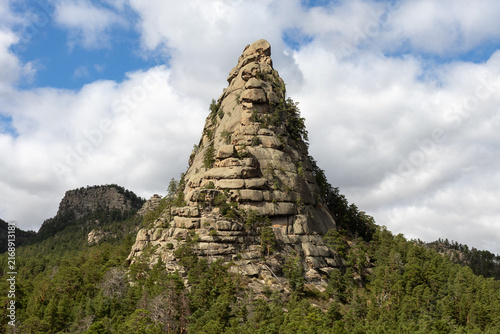 Scenic mountain landscape with a rugged rock formation surrounded by dense evergreen forest and a mature pine tree in the foreground under a dramatic cloudy sky. Natural wilderness scenery, rocky moun