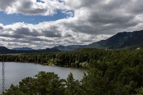 Scenic mountain landscape with a rugged rock formation surrounded by dense evergreen forest and a mature pine tree in the foreground under a dramatic cloudy sky. Natural wilderness scenery, rocky moun