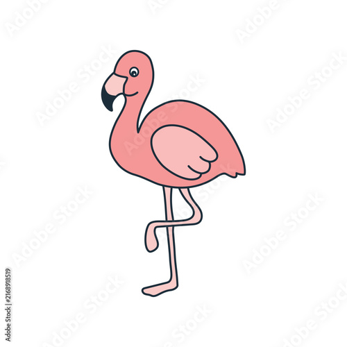 Pink Flamingo. Cute Exotic Bird isolated on White background. Hand drawn Vector illustration
