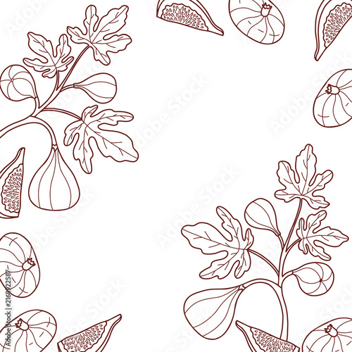 Fig Branch. Square Frame Card. Outline Exotic Food Twig with Fruit and Leaves. Botanical Template with Copy Space. Line Art