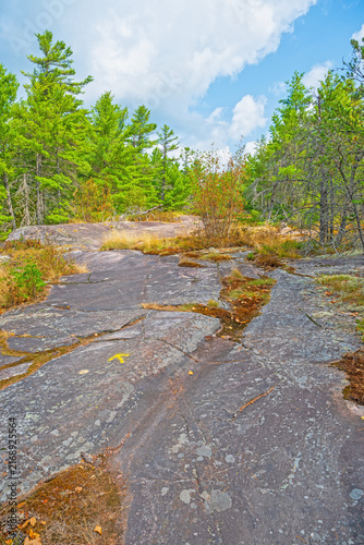 Bare Rock Succession on Canadian Shield Granite