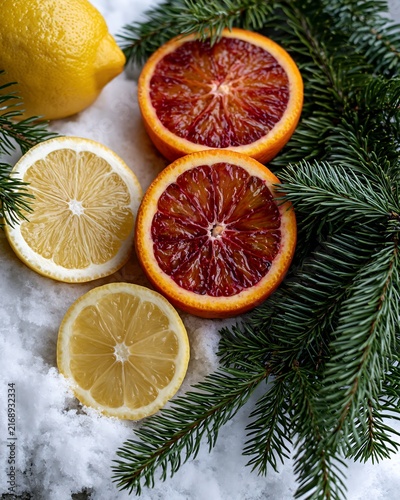 Fresh citrus fruit slices and fir branch on snow winter composition photo