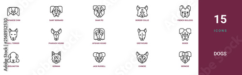 Set of 15 outline web Dogs icons such as bernese mountain, chinese crested, jack russell terrier, german shepherd, bedlington terrier, boxer, greyhound vector icons for report, presentation,
