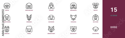 Set of 15 outline web Dogs icons such as bichon frise, bullmastiff, siberian husky, poodle, american staffordshire terrier, Bas Hound, Chihuahua vector icons for report, presentation, diagram, web