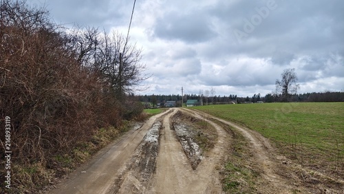 Fotografía A dirt road with tire tracks runs between trees and a grassy meadow, beyond which are village houses