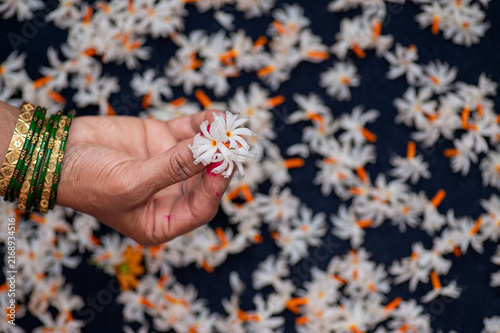 Konstfotografi The fingers of an Indian woman are gripping Parijat or Night-Flowering Jasmine flowers, and additional flowers can be seen in the blurry background