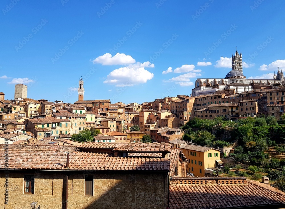 Naklejka premium Picturesque Siena Cityscape Terracotta Rooftops Duomo