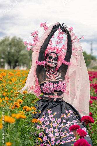 Catrina Raising Veil Above Red Flower Field