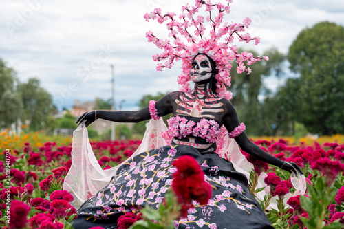 Seated Catrina in Red Flower Field, Cholula