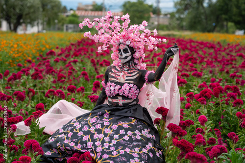 Catrina with Open Veil Among Red Flowers
