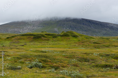 A mossy hill against the backdrop of cloudy Helags Hill. Sweden, Härjedalen