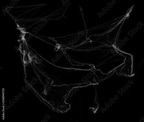 Fototapeta na wymiar Tangled spider's web on isolated white background for Halloween design. Black cobweb for applying in multiply blend mode on any concept