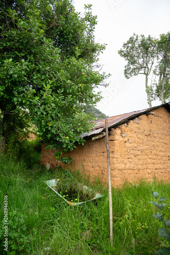 Vertical view of a traditional adobe country house with an apple tree and water tub in Hidalgo, Mexico.