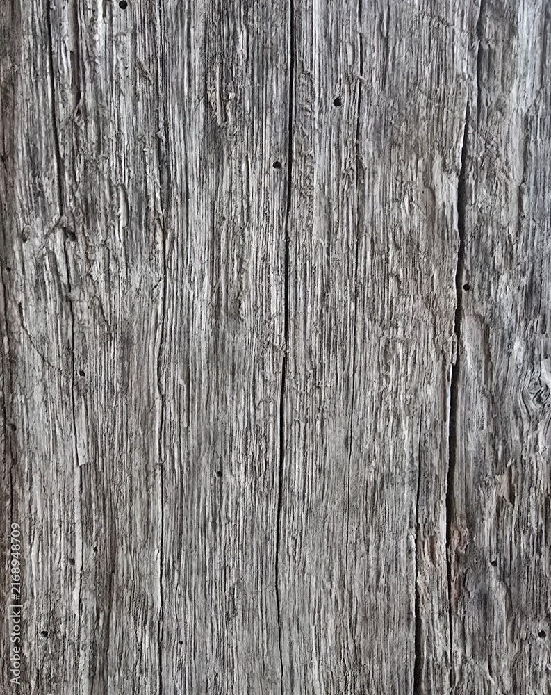 Fototapeta premium old wood texture