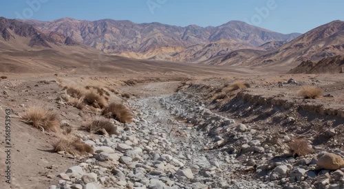 Dry rocky desert wash winding through an arid valley with scrub and distant rugged mountains under a clear blue sky