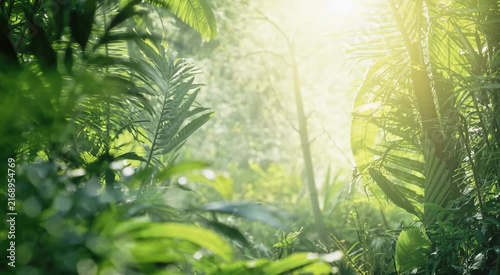 Sunlit tropical foliage with lush green leaves and a soft bokeh nature background