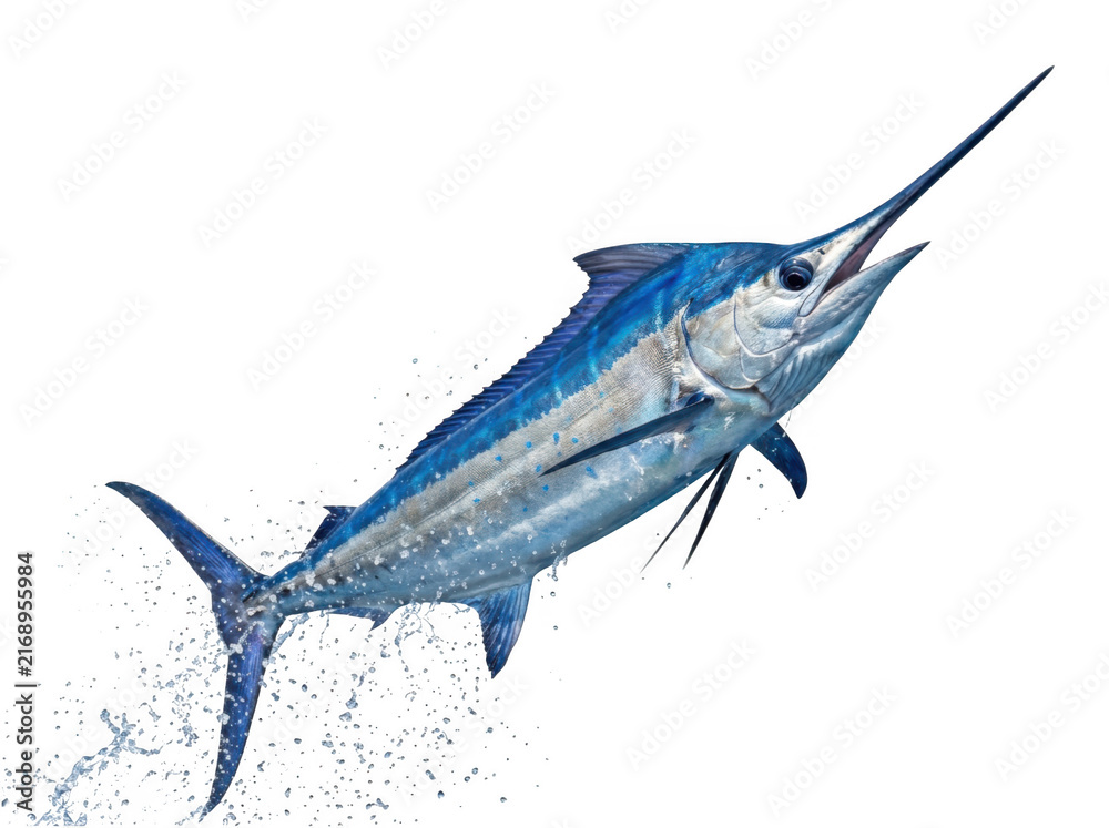 Naklejka premium Blue marlin fish jumping out of water isolated on transparent background