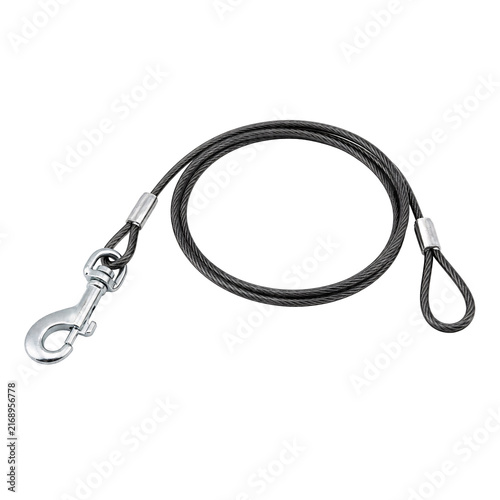 Isolated metal dog leash with a hook